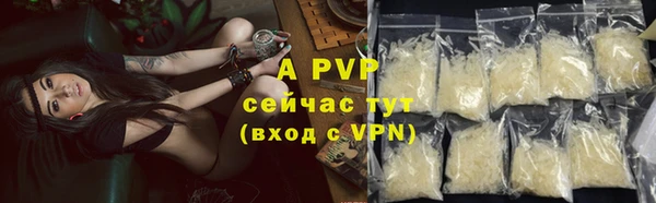 мяу мяу мука Горно-Алтайск