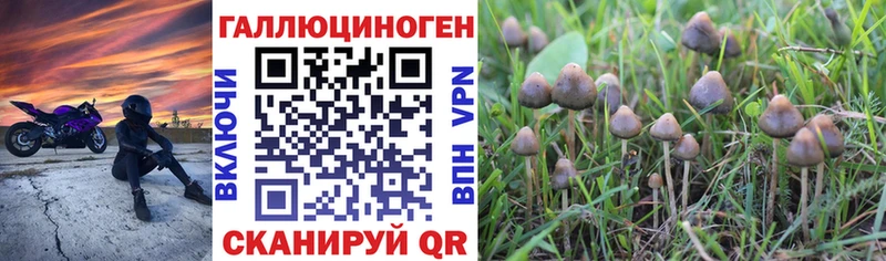 Галлюциногенные грибы Cubensis  дарк нет официальный сайт  Рязань  что такое  